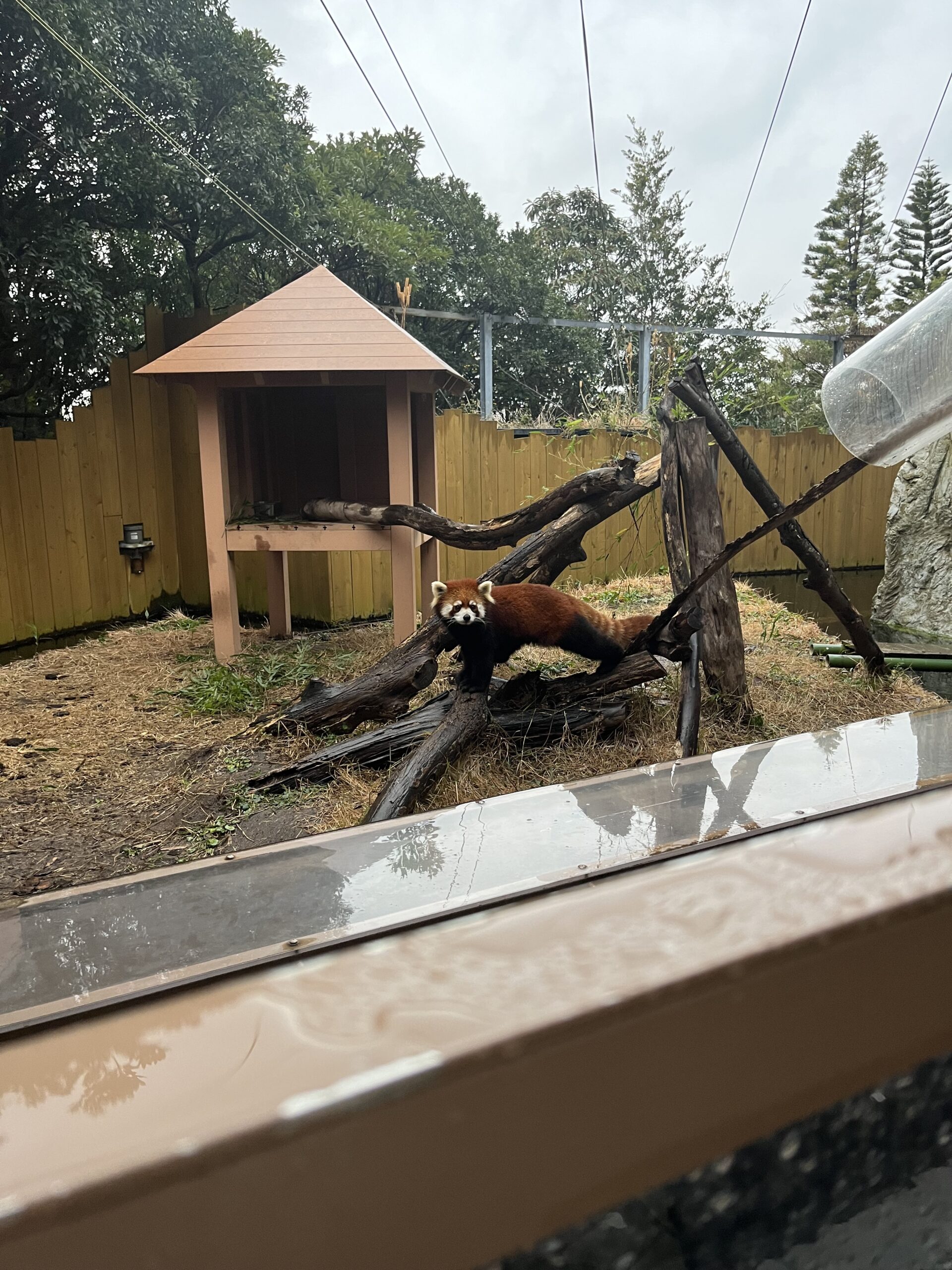 【八景島】觀光指南．攻略︱整個橫濱最適合約會的地點！？ー 來一場水族館約會吧！ - 八景島, 日本, 橫濱, 橫濱景點, 水族館