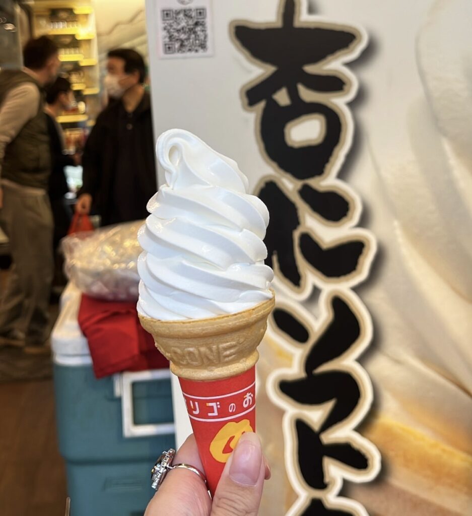 【橫濱中華街】觀光指南．攻略︱橫濱必去特色？去日本體驗中華文化！？ー 連日本人都很喜歡去的景點 - 中華料理, 中華街, 日本, 日本美食, 日本餐廳, 橫濱, 橫濱景點, 橫濱美食