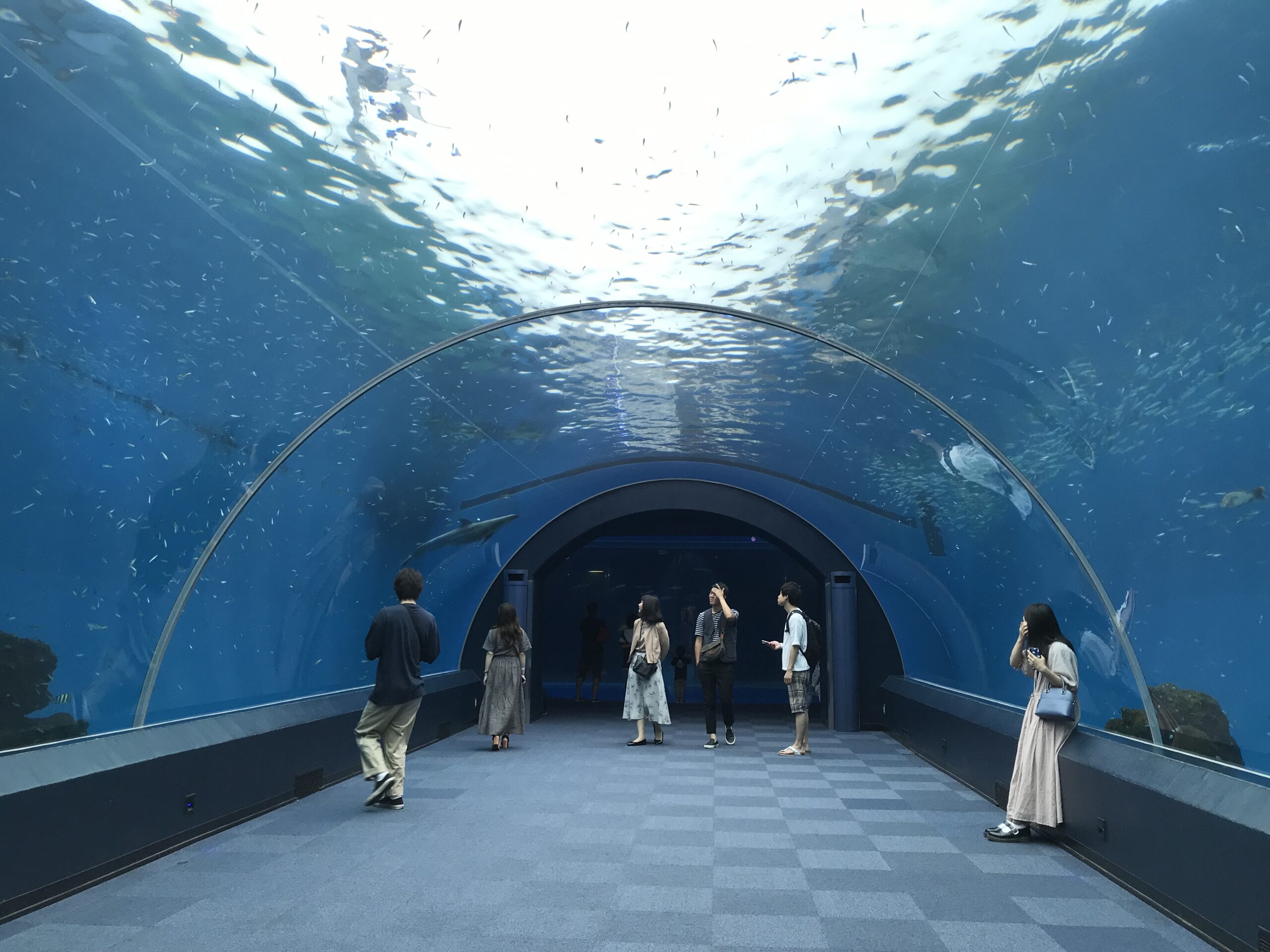 【八景島】觀光指南．攻略︱整個橫濱最適合約會的地點！？ー 來一場水族館約會吧！ - 八景島, 日本, 橫濱, 橫濱景點, 水族館