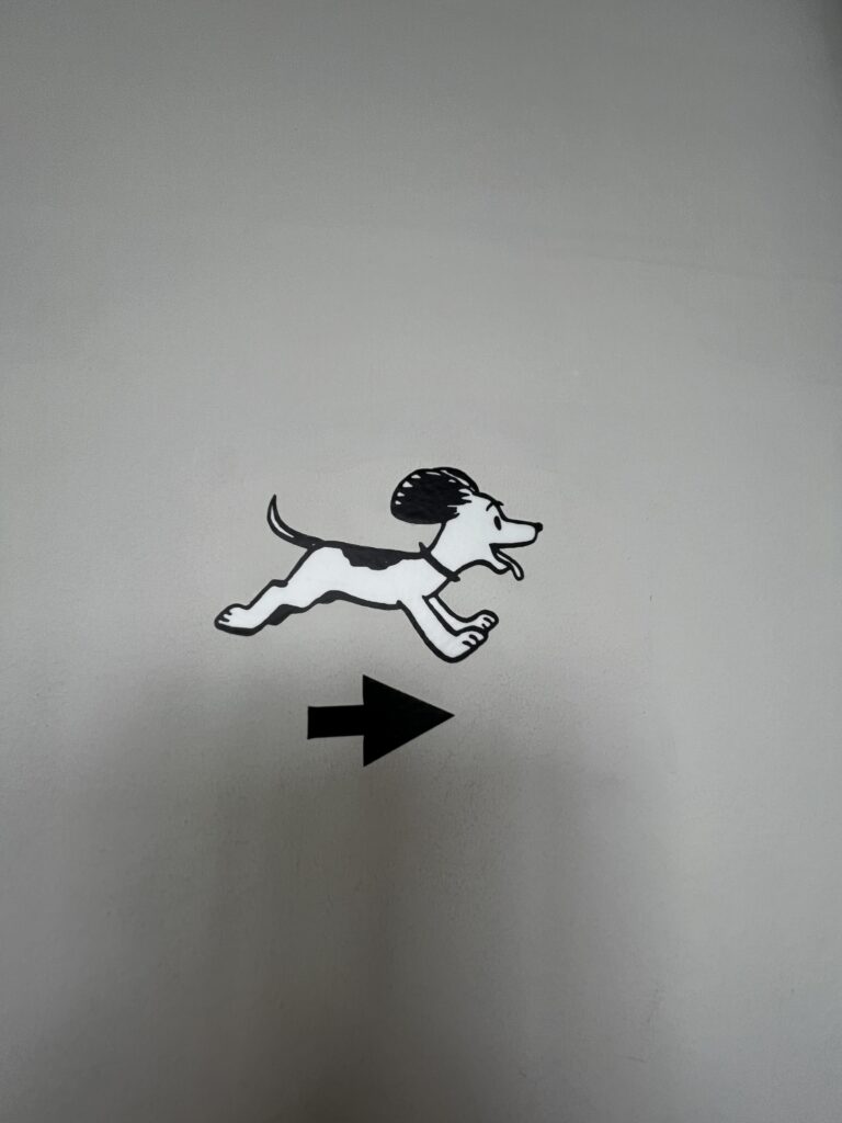 東京史努比博物館 (SNOOPY MUSEUM TOKYO) ー 史努比控必去的朝聖景點！ - 史努比, 日本, 東京