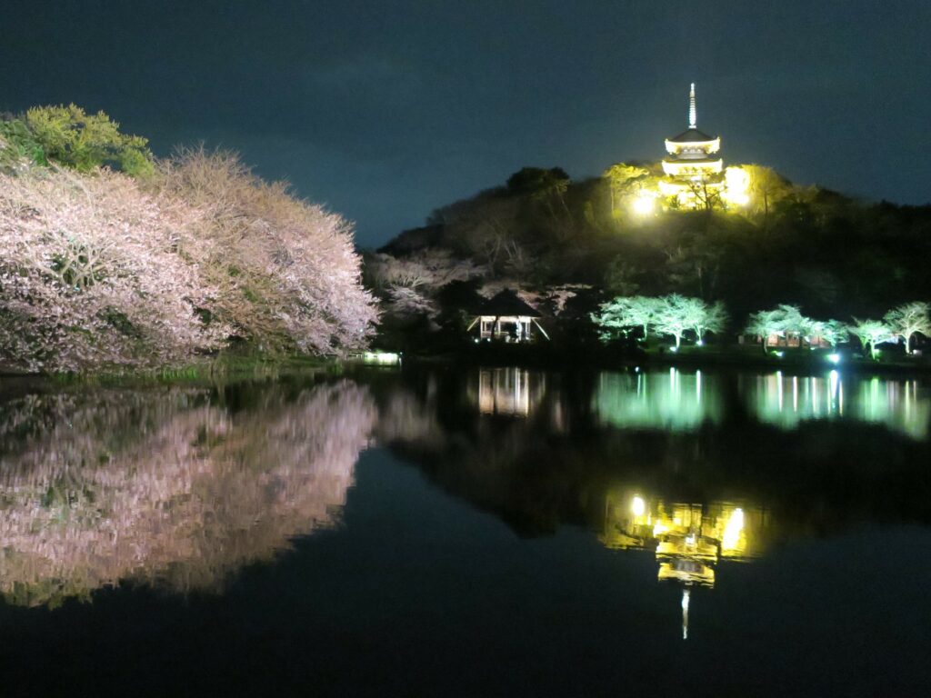 2024 橫濱三溪園賞櫻︱櫻花巡禮．點燈活動詳情 - 三溪園, 日本, 橫濱, 賞櫻
