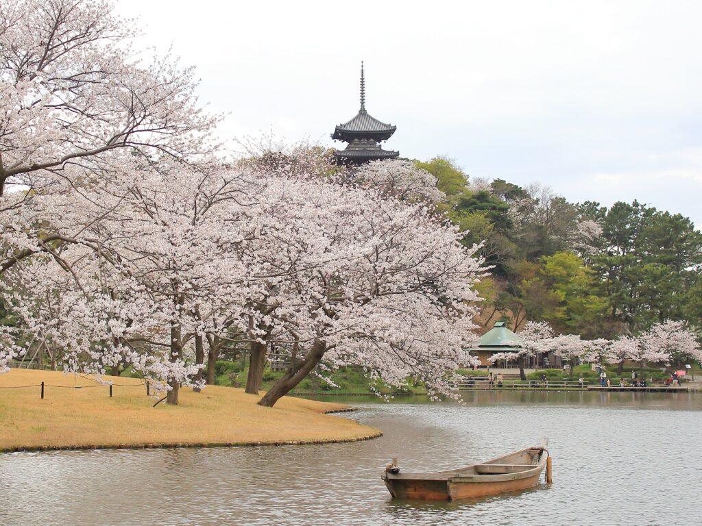 2024 橫濱三溪園賞櫻︱櫻花巡禮．點燈活動詳情 - 三溪園, 日本, 橫濱, 賞櫻