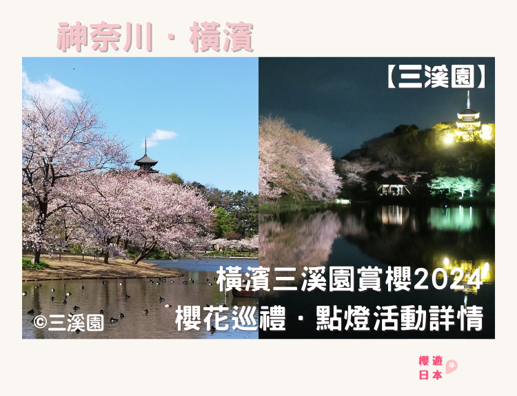 2024 橫濱三溪園賞櫻︱櫻花巡禮．點燈活動詳情 - 三溪園, 日本, 橫濱, 賞櫻