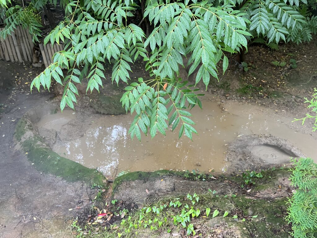 別府必去景點|別府地獄溫泉巡禮【附自駕攻略+需時+優惠卷】 - 九州, 九州自駕遊, 別府, 別府地獄, 大自然景點