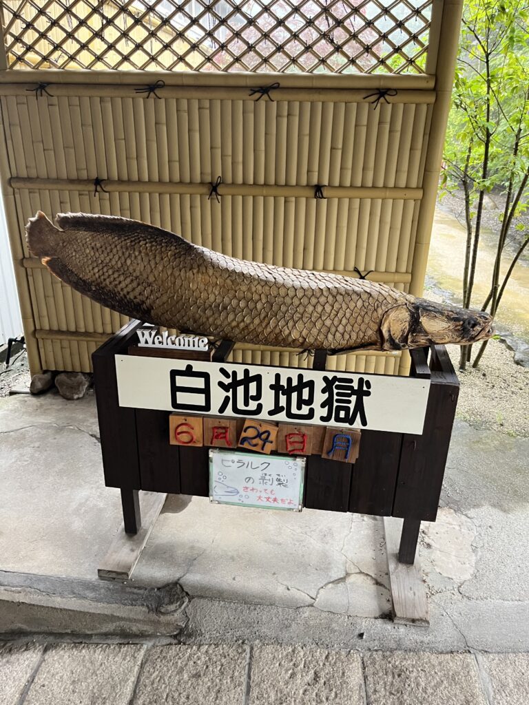 別府必去景點|別府地獄溫泉巡禮【附自駕攻略+需時+優惠卷】 - 九州, 九州自駕遊, 別府, 別府地獄, 大自然景點