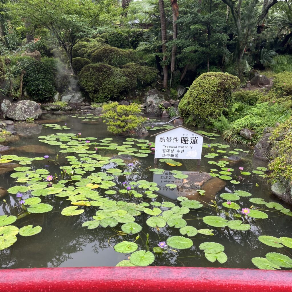 別府必去景點|別府地獄溫泉巡禮【附自駕攻略+需時+優惠卷】 - 九州, 九州自駕遊, 別府, 別府地獄, 大自然景點