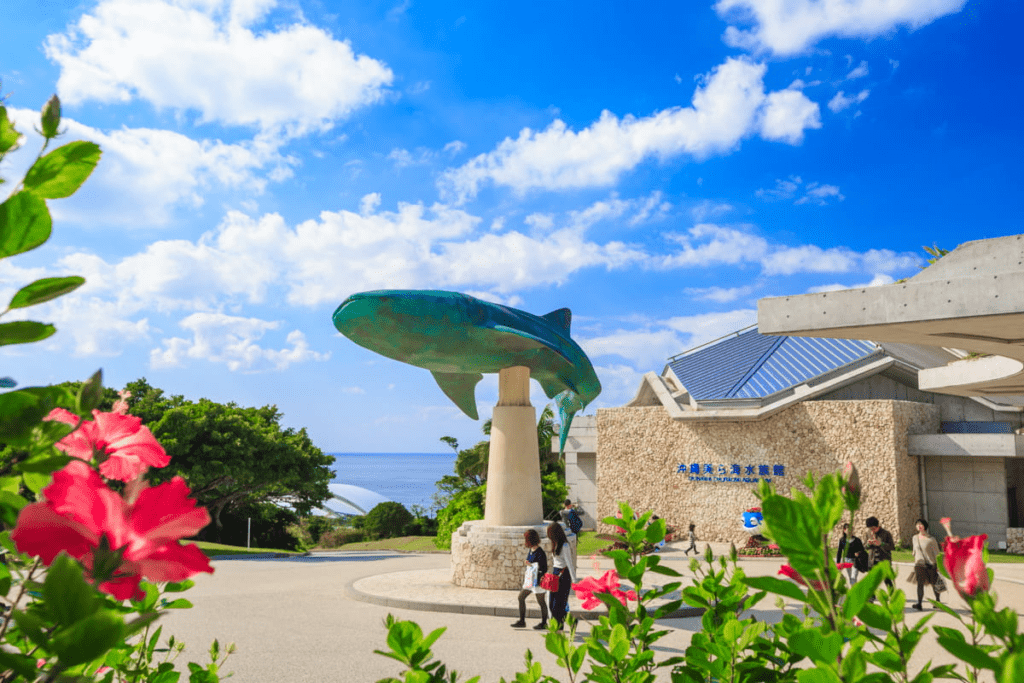 沖繩美麗海水族館 ー 沖繩不可不去的水族館︱有超大的鯨鯊和鬼蝠魟!! - 日本, 水族館, 沖繩