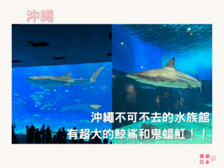 沖繩美麗海水族館 ー 沖繩不可不去的水族館︱有超大的鯨鯊和鬼蝠魟！！ - 日本, 水族館, 沖繩
