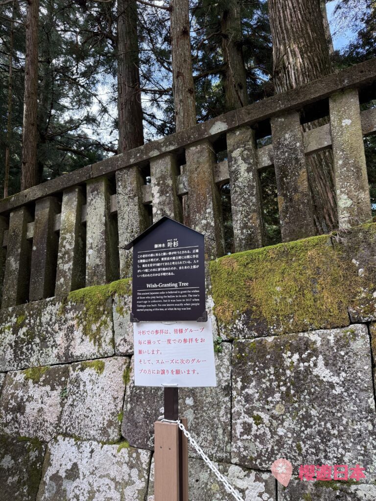 栃木縣觀光聖地《日光·奧日光景點10選》︱不論是賞楓、觀賞大自然風景、世界遺產還是泡溫泉都不能放過的地方！【附一日遊提案及乘車攻略】 - 大自然景點, 奧日光, 日光, 東京近郊, 栃木, 溫泉