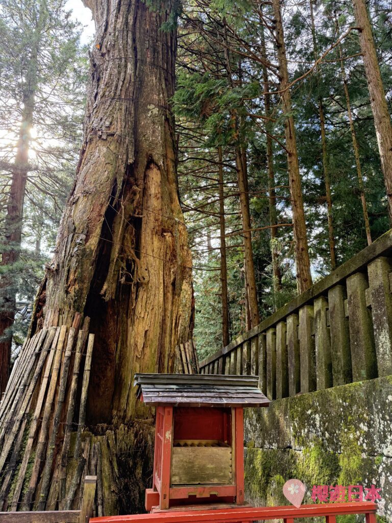 栃木縣觀光聖地《日光·奧日光景點10選》︱不論是賞楓、觀賞大自然風景、世界遺產還是泡溫泉都不能放過的地方！【附一日遊提案及乘車攻略】 - 大自然景點, 奧日光, 日光, 東京近郊, 栃木, 溫泉