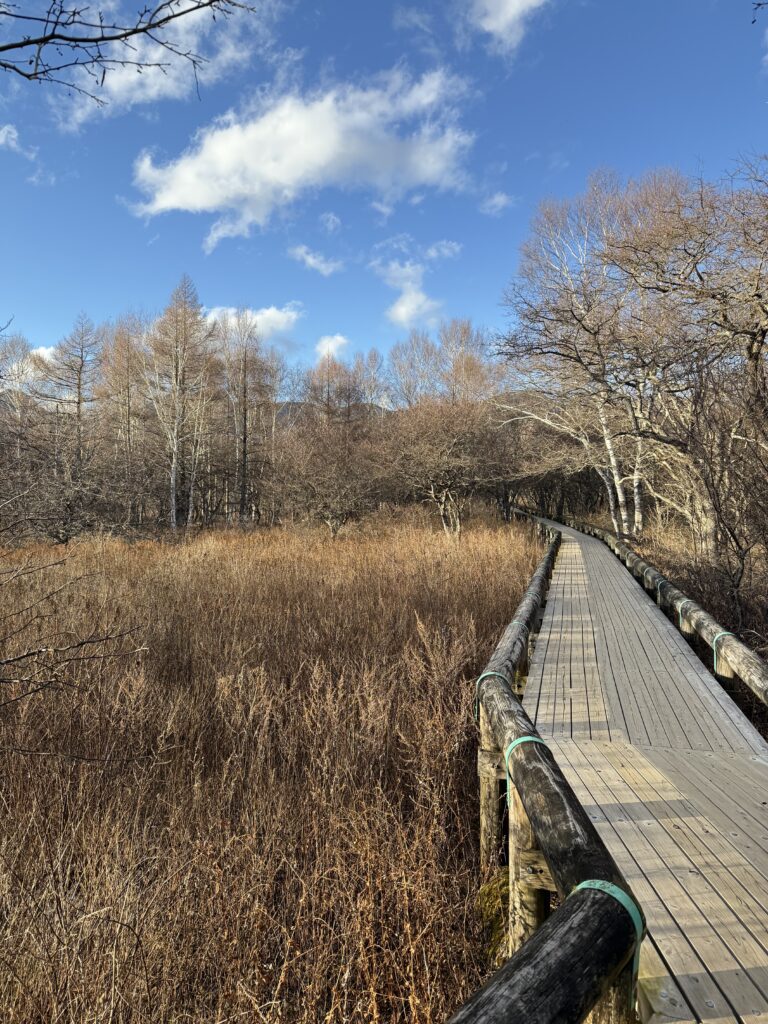 栃木縣觀光聖地《日光·奧日光景點10選》︱不論是賞楓、觀賞大自然風景、世界遺產還是泡溫泉都不能放過的地方！【附一日遊提案及乘車攻略】 - 大自然景點, 奧日光, 日光, 東京近郊, 栃木, 溫泉