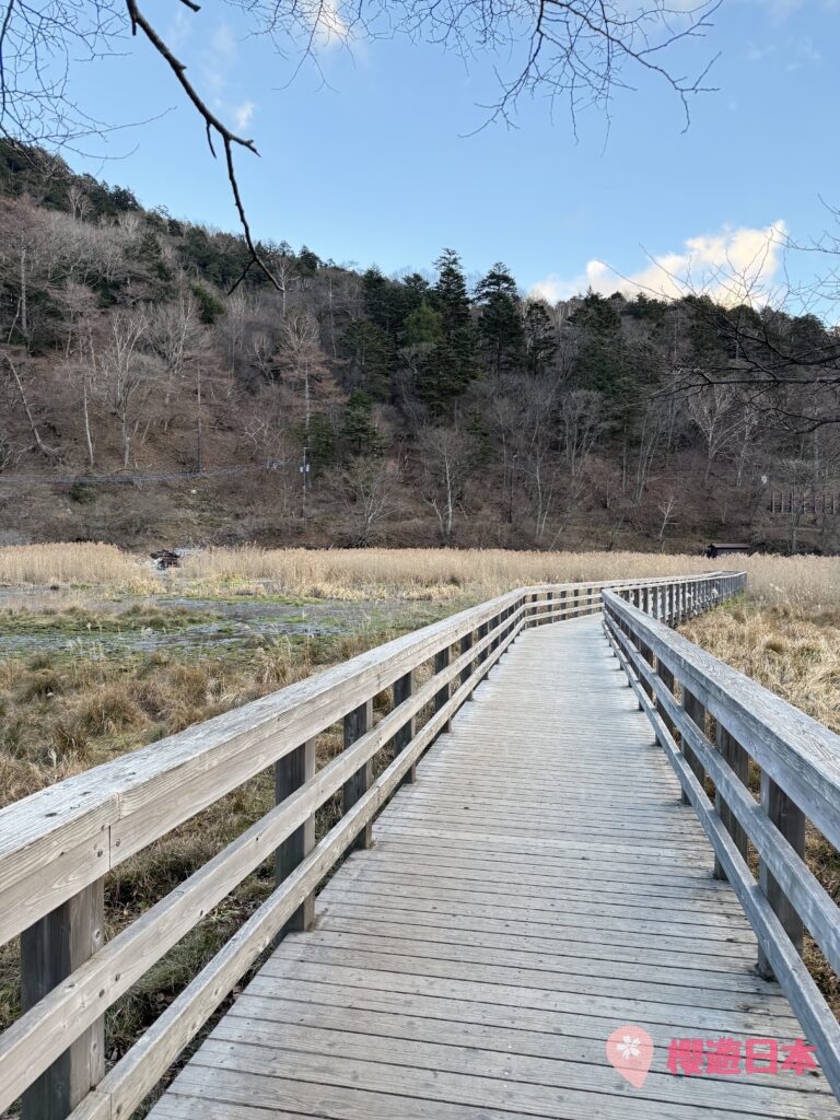 栃木縣觀光聖地《日光·奧日光景點10選》︱不論是賞楓、觀賞大自然風景、世界遺產還是泡溫泉都不能放過的地方！【附一日遊提案及乘車攻略】 - 大自然景點, 奧日光, 日光, 東京近郊, 栃木, 溫泉