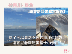 鎌倉好去處︱除了可以看到不同的海洋生物外，還可以看到絕美富士山景色！！【鎌倉新江之島水族館】 - 水族館, 江之島, 鎌倉