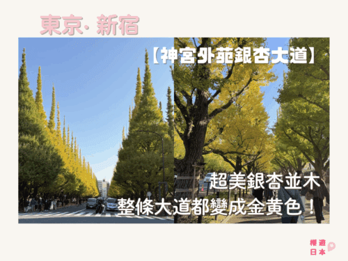 東京秋季必見景點no.1︱超美銀杏並木．整條大道都變成秋意濃濃的金黃色！【神宮外苑銀杏大道】 - 銀杏