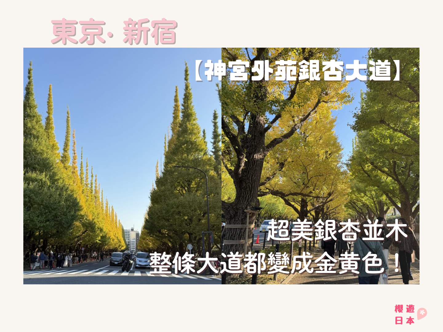 東京秋季必見景點no.1︱超美銀杏並木．整條大道都變成秋意濃濃的金黃色！【神宮外苑銀杏大道】 - 外苑前, 大自然景點, 日本, 明治神宮, 東京, 銀杏