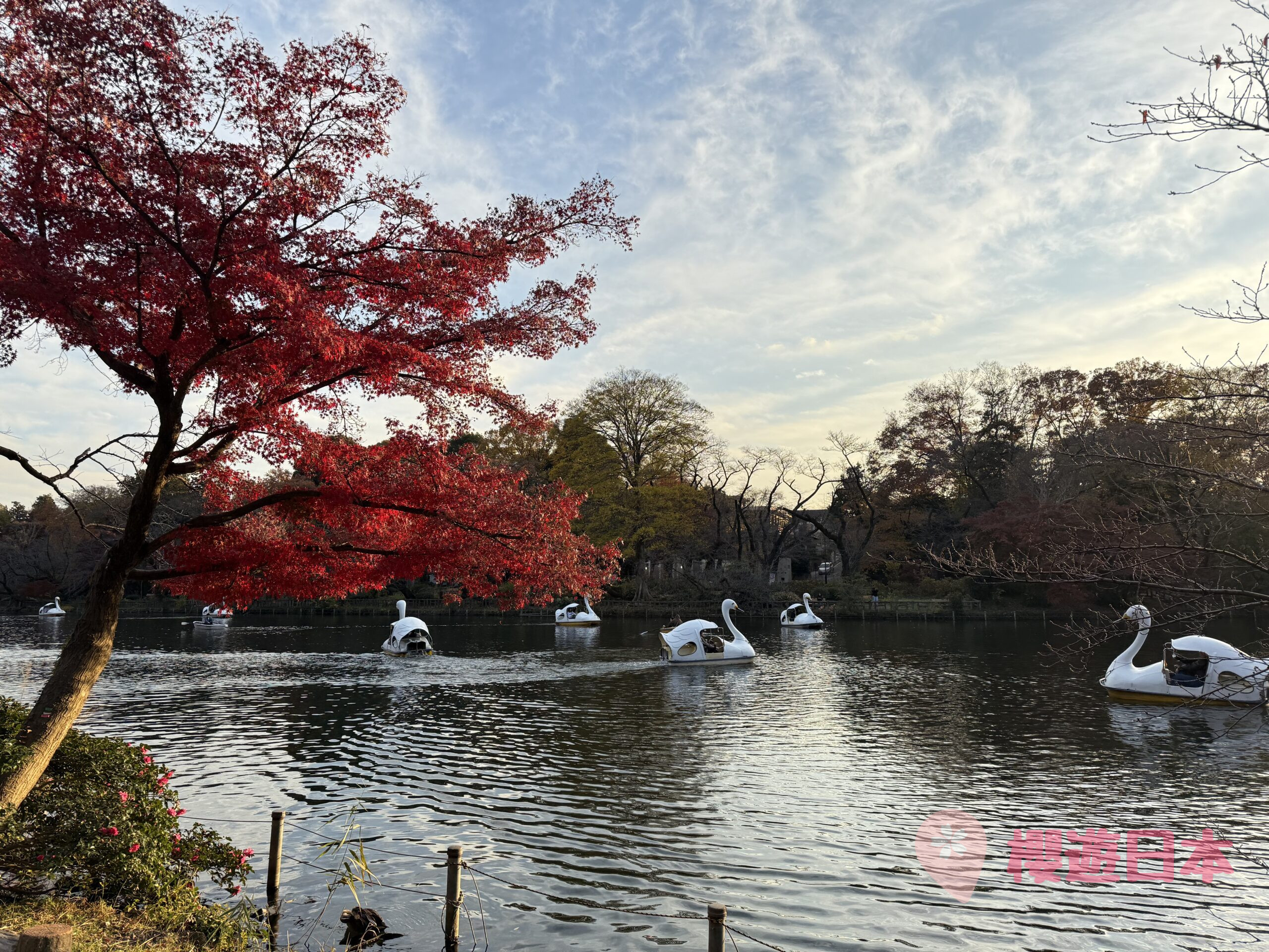 吉祥寺精選景點9選︱逛街、美食、散步一條龍行程懶人包【來一個輕鬆的吉祥寺一日遊吧！】 - 吉祥寺, 吉祥寺美食, 東京, 東京美食, 漢堡肉