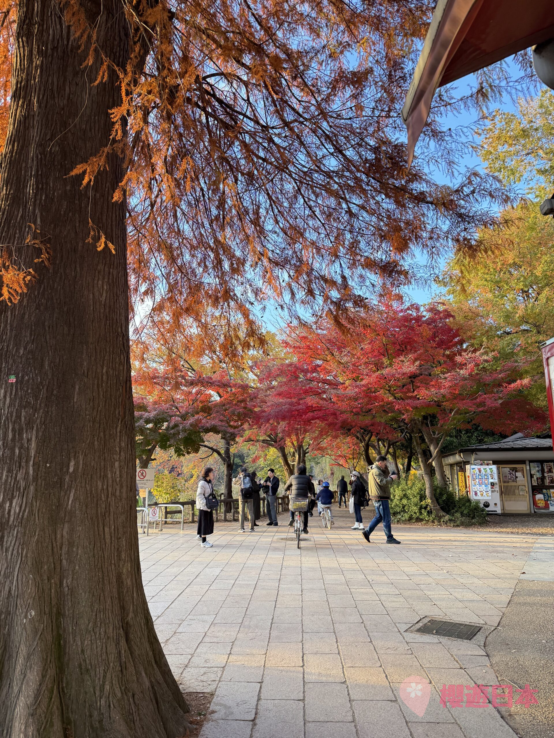 吉祥寺精選景點9選︱逛街、美食、散步一條龍行程懶人包【來一個輕鬆的吉祥寺一日遊吧！】 - 吉祥寺, 吉祥寺美食, 東京, 東京美食, 漢堡肉
