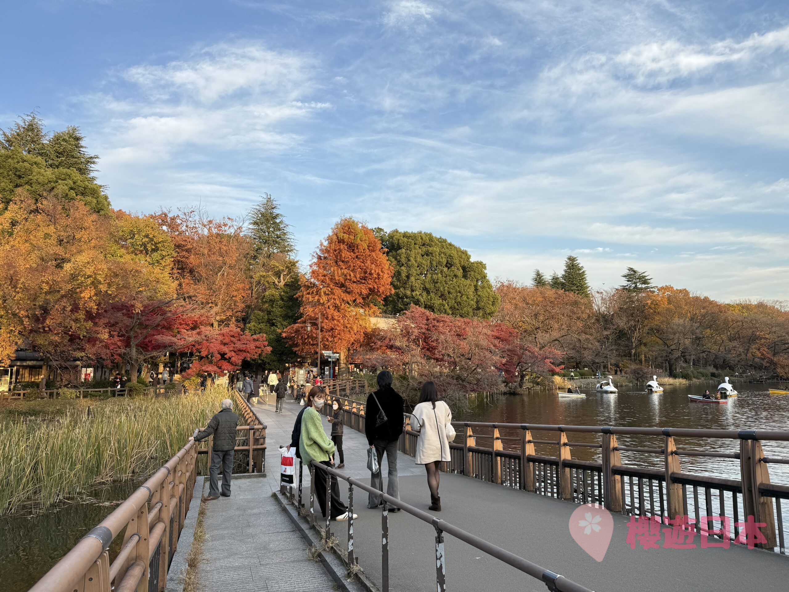 吉祥寺精選景點9選︱逛街、美食、散步一條龍行程懶人包【來一個輕鬆的吉祥寺一日遊吧！】 - 吉祥寺, 吉祥寺美食, 東京, 東京美食, 漢堡肉