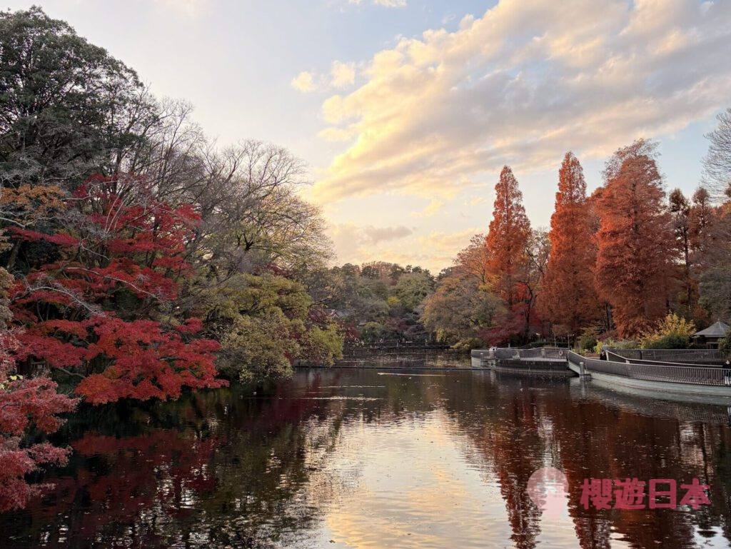 吉祥寺精選景點9選︱逛街、美食、散步一條龍行程懶人包【來一個輕鬆的吉祥寺一日遊吧！】 - 吉祥寺, 吉祥寺美食, 東京, 東京美食, 漢堡肉