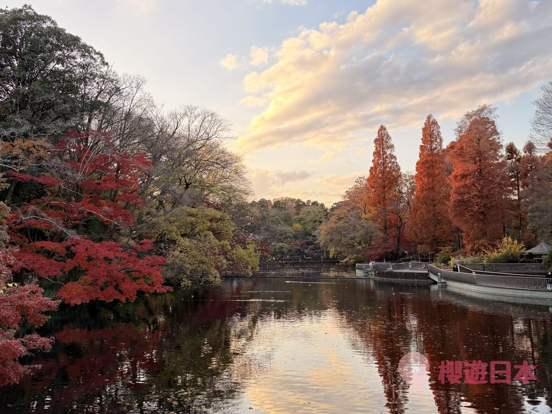 吉祥寺精選景點9選︱逛街、美食、散步一條龍行程懶人包【來一個輕鬆的吉祥寺一日遊吧！】 - 吉祥寺, 吉祥寺美食, 東京, 東京美食, 漢堡肉