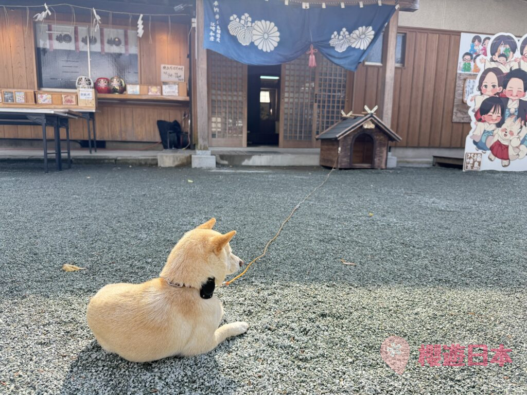 位於福岡超美透明御守及手繪風御朱印的神社！還有狗狗坐鎮神社！ー【福島八幡宮】 - 九州, 九州自駕遊, 御守, 御朱印, 日本, 神社, 福岡, 福岡神社