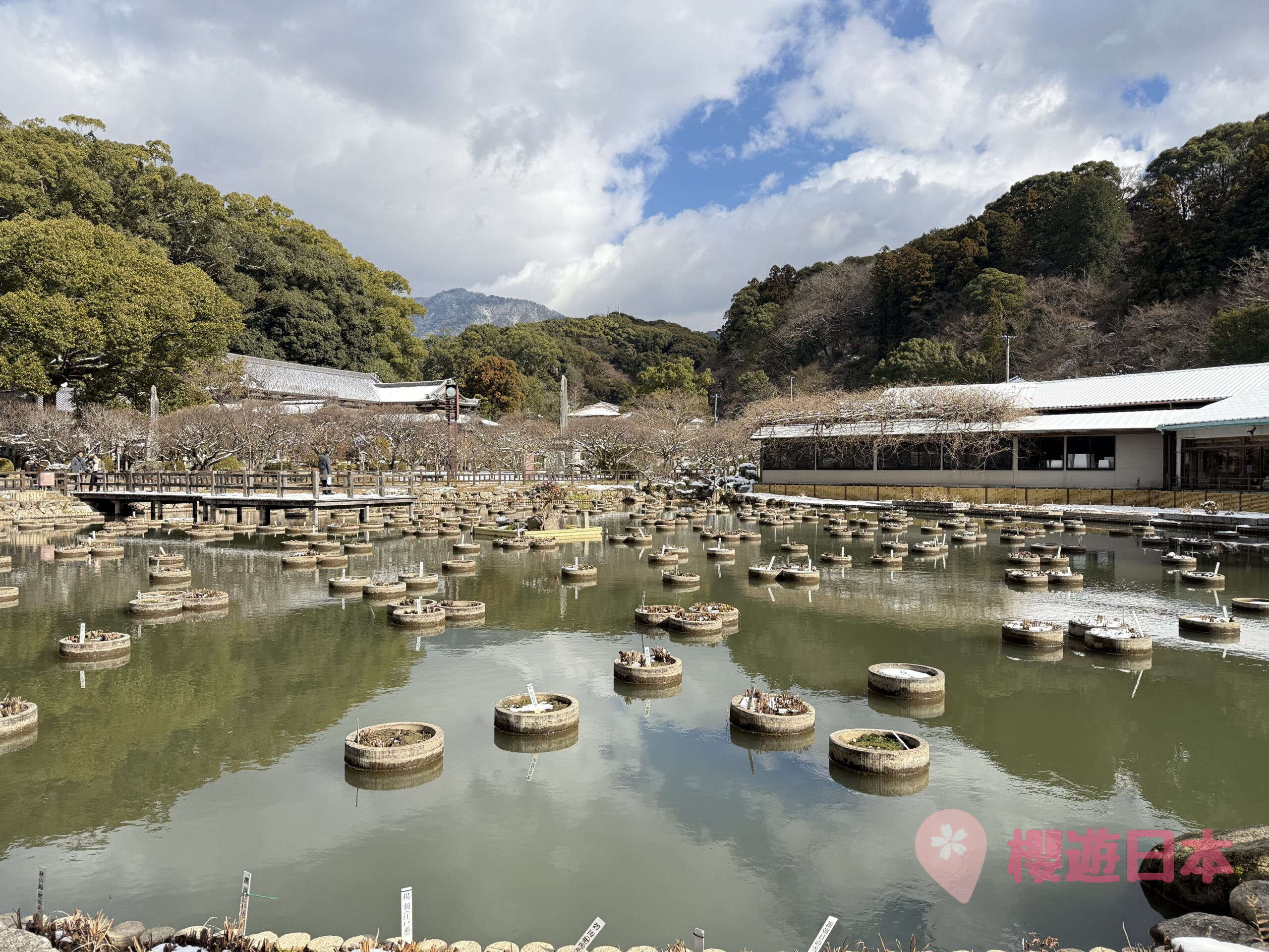福岡太宰府必去景點9選︱感受歷史與自然的完美結合～交通、美食、景點一次搞定！【附上太宰府一日遊行程(美食推薦及交通方法)】 - 一日遊, 九州, 九州自駕遊, 太宰府, 福岡, 福岡神社