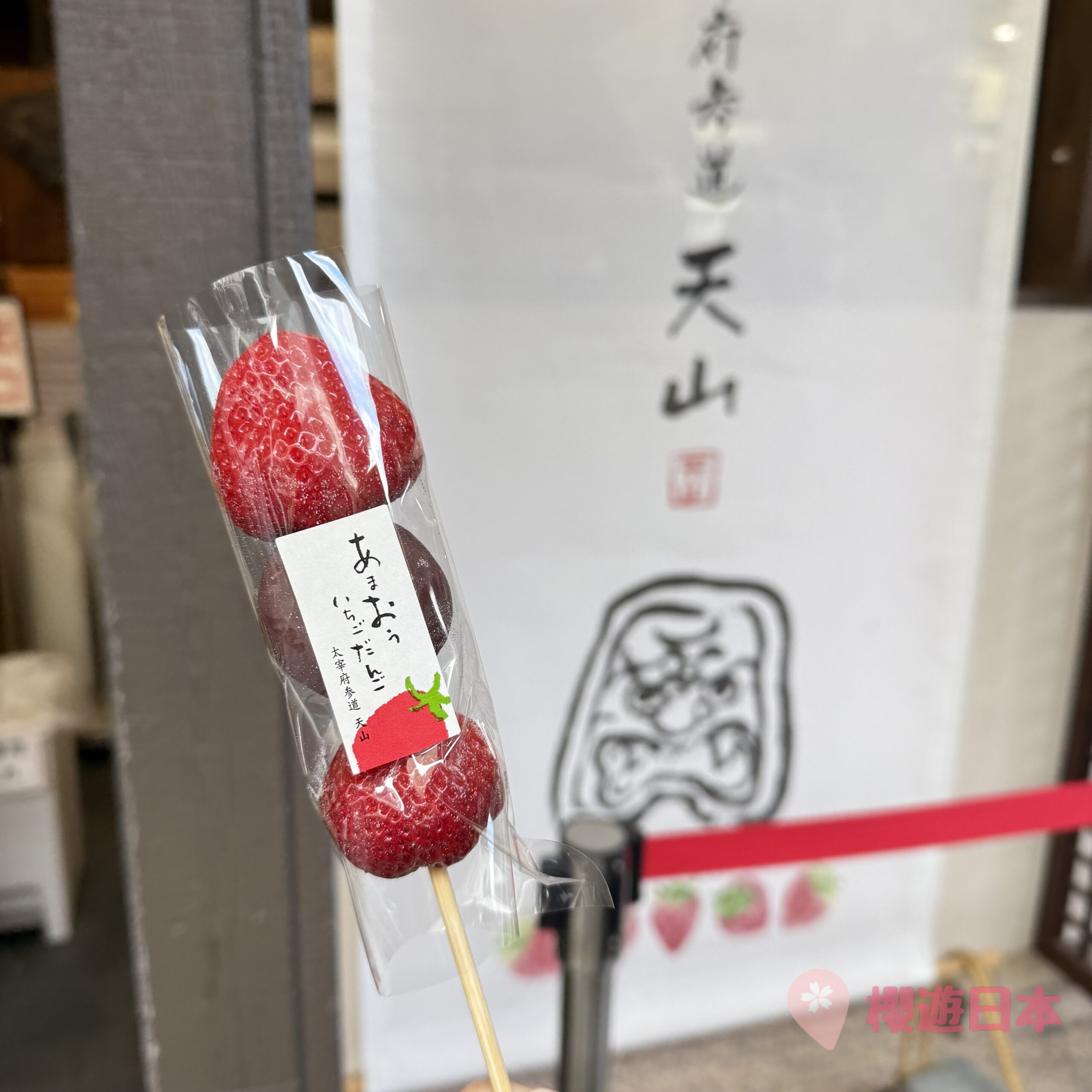 福岡太宰府必去景點9選︱感受歷史與自然的完美結合～交通、美食、景點一次搞定！【附上太宰府一日遊行程(美食推薦及交通方法)】 - 一日遊, 九州, 九州自駕遊, 太宰府, 福岡, 福岡神社