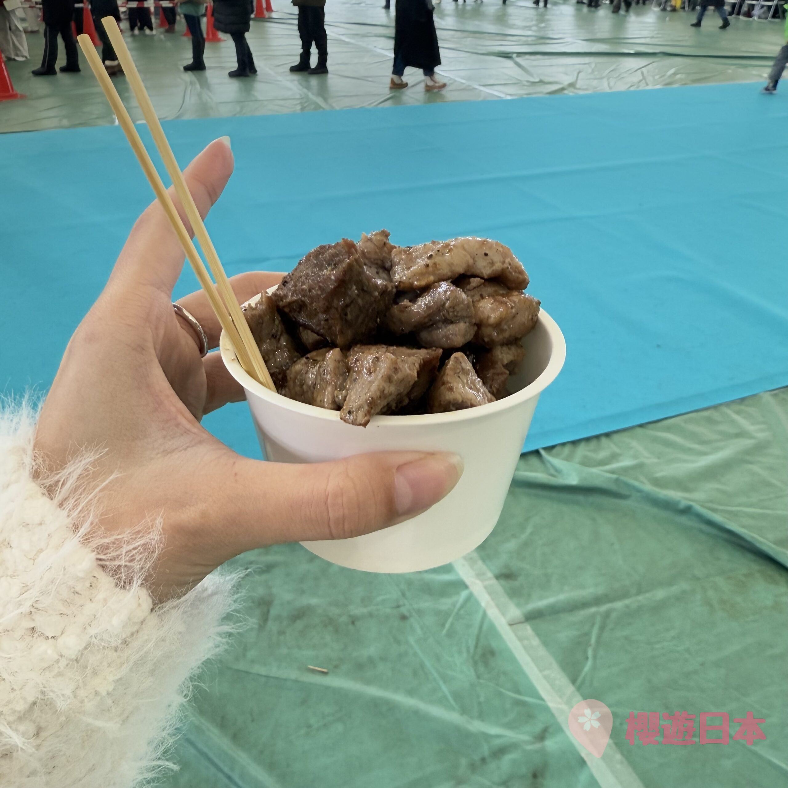 2025第75屆札幌雪祭《さっぽろ雪まつり》︱大通會場・TSUDOME會場・薄野會場回顧【附上2026年第76屆日程+交通安排】 - 札幌, 札幌活動, 札幌雪祭