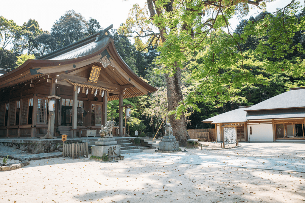 福岡太宰府必去景點9選︱感受歷史與自然的完美結合~交通、美食、景點一次搞定!【附上太宰府一日遊行程(美食推薦及交通方法)】 - 一日遊, 九州, 九州自駕遊, 太宰府, 福岡, 福岡神社