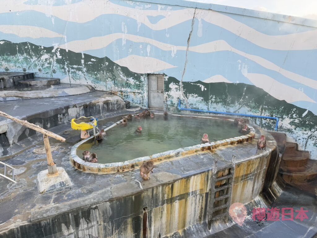 北海道湯之川溫泉 景點推薦︱湯倉神社、湯之川足浴溫泉、函館市熱帶植物園【附交通、景點、住宿懶人包】 - 函館, 函館景點, 函館神社, 動植物園, 北海道, 北海道景點, 溫泉, 溫泉酒店