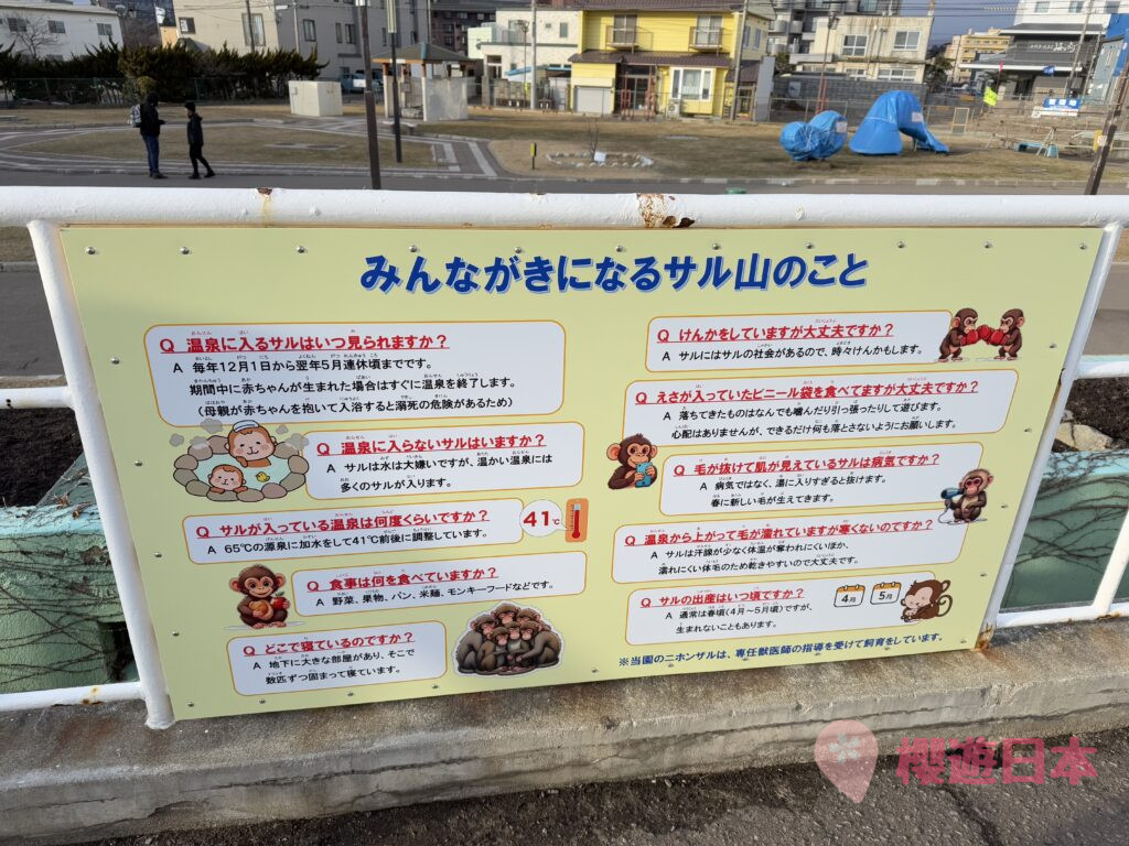 北海道湯之川溫泉 景點推薦︱湯倉神社、湯之川足浴溫泉、函館市熱帶植物園【附交通、景點、住宿懶人包】 - 函館, 函館景點, 函館神社, 動植物園, 北海道, 北海道景點, 溫泉, 溫泉酒店