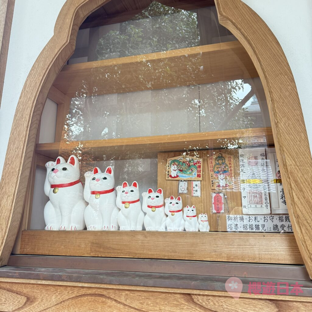 東京招財貓寺廟介紹｜貓奴快衝！東京超可愛招財貓寺廟【豪德寺】(附交通方式&參拜資訊&拍照打卡點) - 寺廟, 御朱印, 招財貓