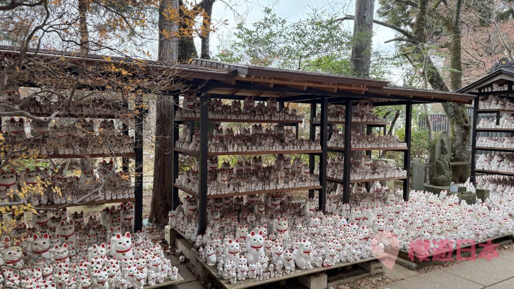 東京招財貓寺廟介紹｜貓奴快衝！東京超可愛招財貓寺廟【豪德寺】(附交通方式&參拜資訊&拍照打卡點) - 寺廟, 御朱印, 招財貓