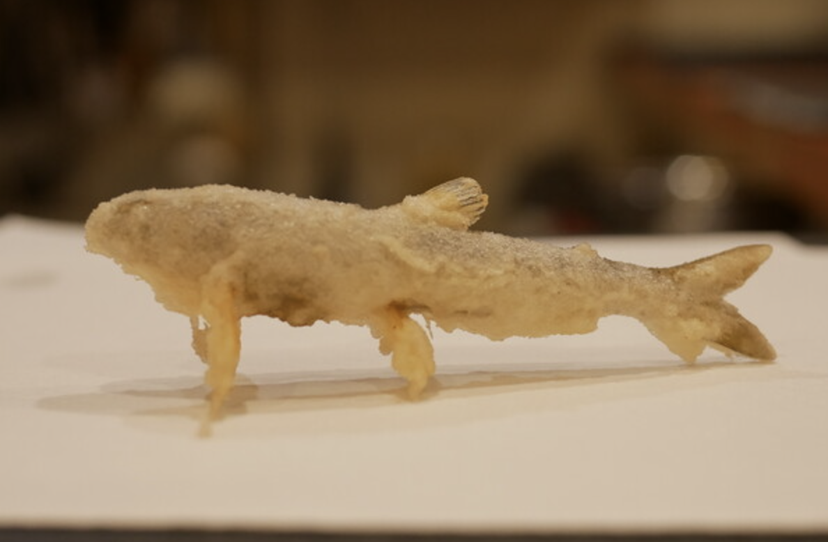 深入了解天婦羅的魅力與講究｜東京・京都・大阪必訪的8間經典名店一次看！ - 京都, 京都美食, 和食, 大阪, 大阪美食, 天婦羅, 日本, 日本美食, 日本餐廳, 東京, 東京美食