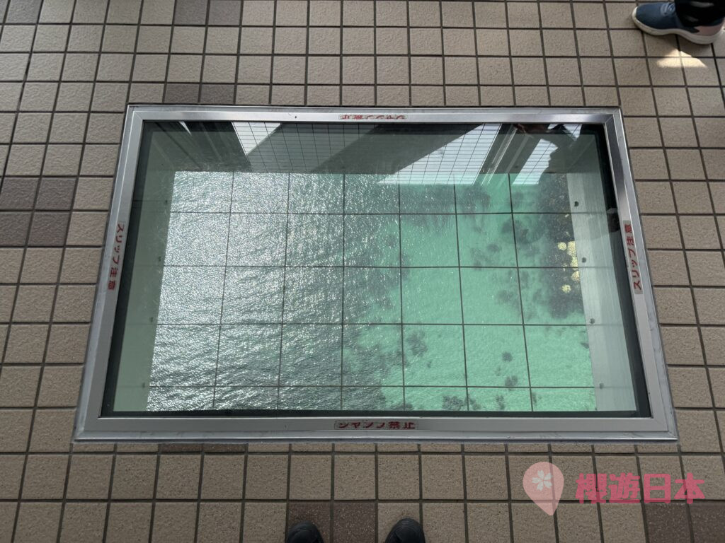 德島必去自然奇觀｜從「渦之道」眺望世界級漩渦——鳴門漩渦【景點＆交通方式＆觀潮資訊懶人包】 - 四國自駕, 大自然景點, 德島景點, 日本自駕, 自駕遊