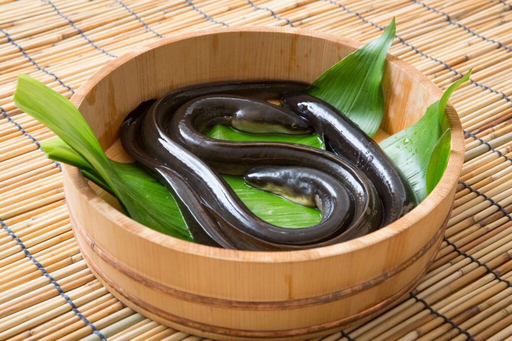 東京鰻魚飯推薦｜外層香脆內裡鬆軟的幸福一口！鰻魚的歷史+人氣名店6選 - 和食, 日本, 日本美食, 日本餐廳, 東京, 東京美食