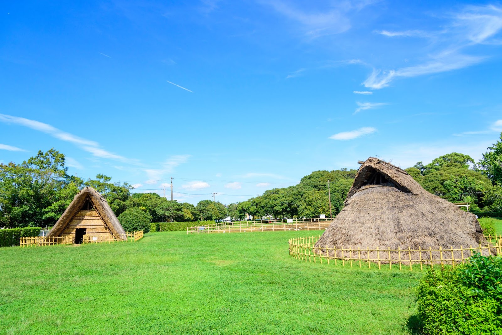 東京鰻魚飯推薦｜外層香脆內裡鬆軟的幸福一口！鰻魚的歷史+人氣名店6選 - 和食, 日本, 日本美食, 日本餐廳, 東京, 東京美食
