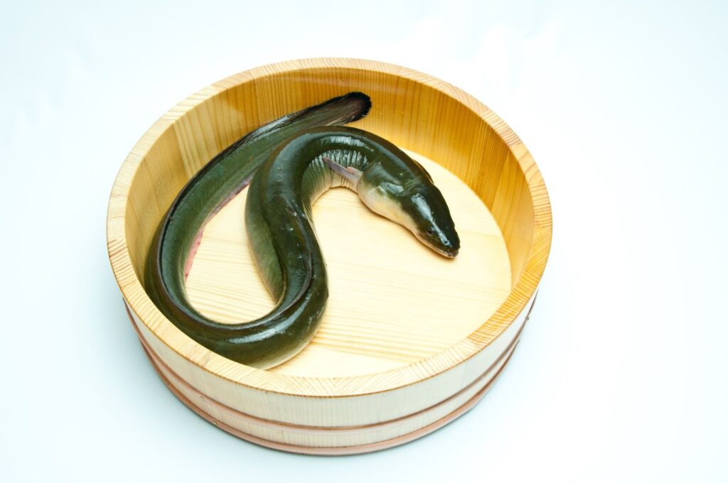 東京鰻魚飯推薦｜外層香脆內裡鬆軟的幸福一口！鰻魚的歷史+人氣名店6選 - 和食, 日本, 日本美食, 日本餐廳, 東京, 東京美食