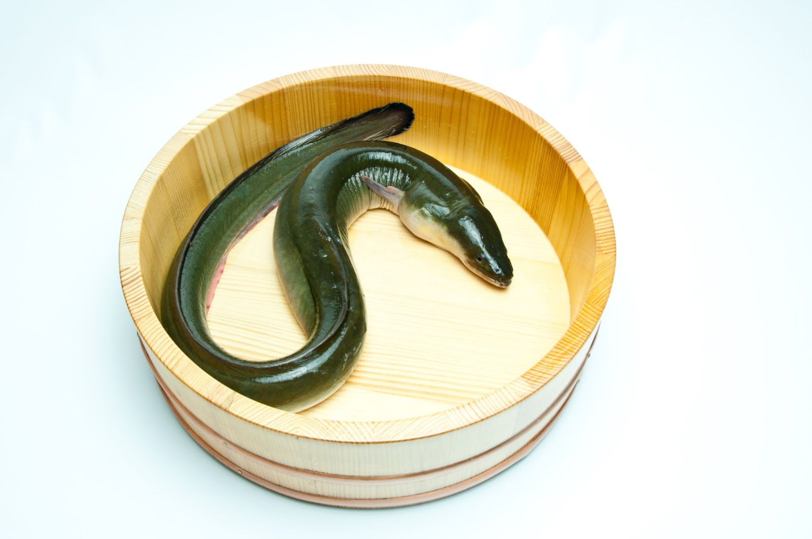 東京鰻魚飯推薦｜外層香脆內裡鬆軟的幸福一口！鰻魚的歷史+人氣名店6選 - 和食, 日本, 日本美食, 日本餐廳, 東京, 東京美食