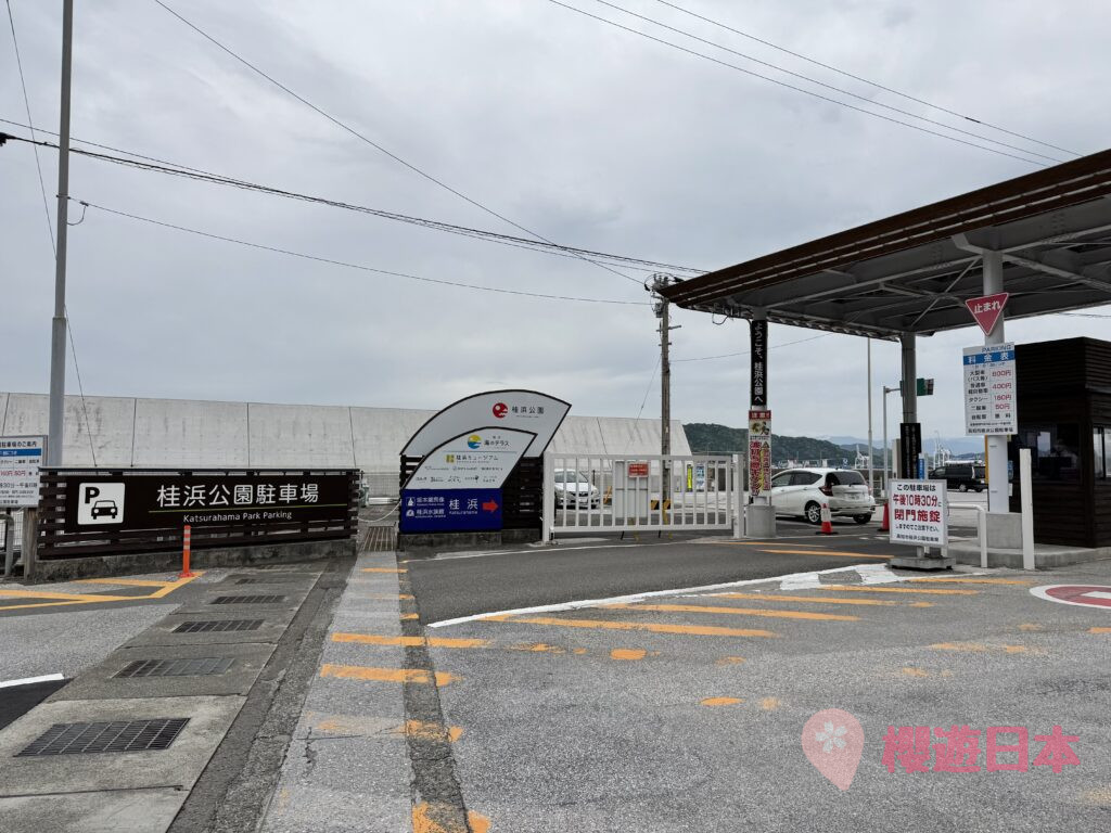 高知必去絕景|海風與歷史交織的桂濱散策指南【附交通&景點介紹】 - 四國自駕, 大自然景點, 日本自駕, 歷史建築, 自駕遊