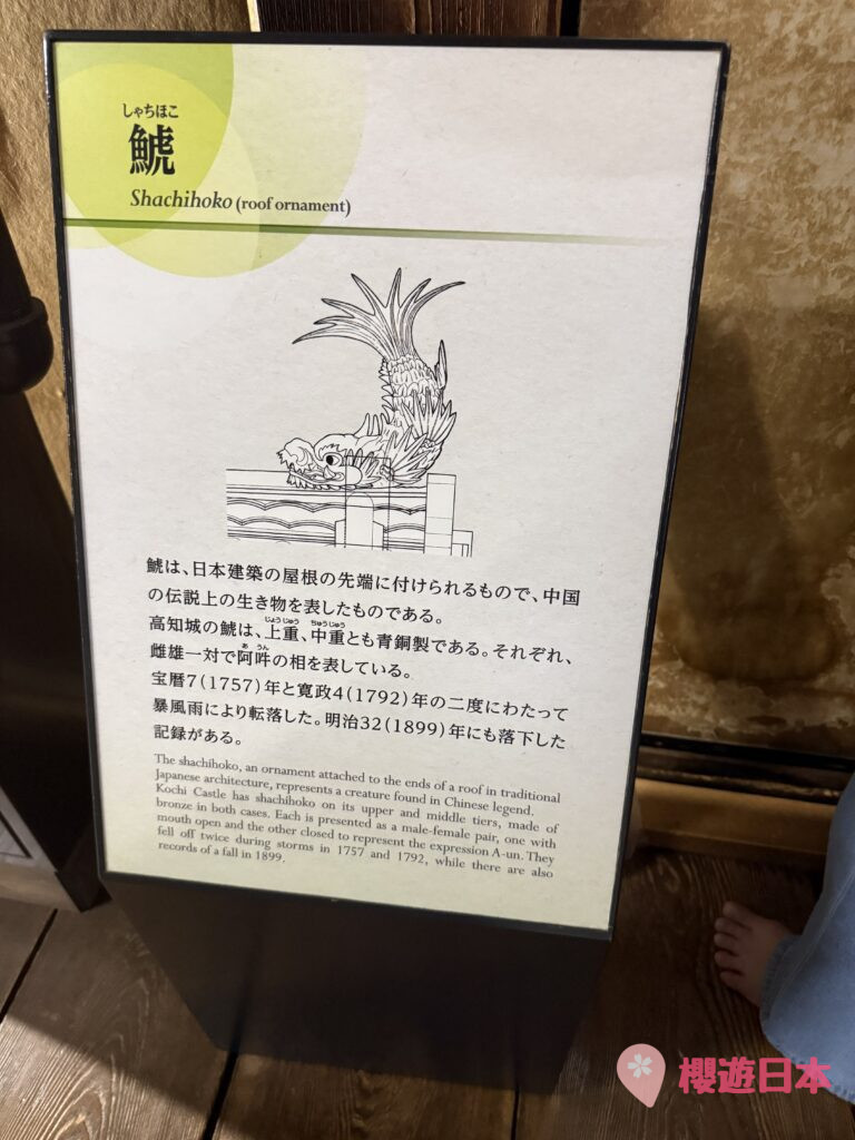 日本高知景點推薦｜必訪「現存天守」之一 ——高知城【門票資訊、交通方式】 - 四國自駕, 城, 日本自駕, 歷史建築, 自駕遊, 高知景點