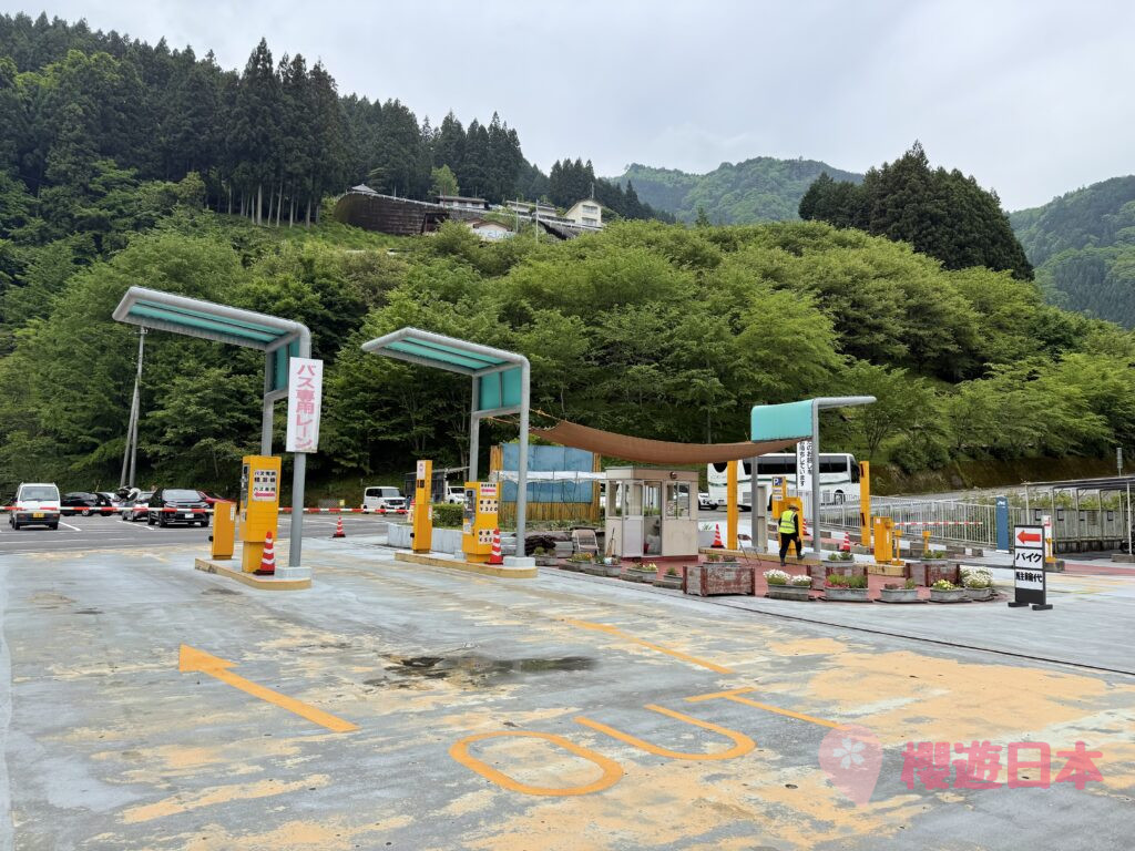 德島秘境探險｜漫步在藤蔓上的勇氣試煉！—— 祖谷藤蔓橋【含交通&門票資訊&自駕建議】 - 四國自駕, 大自然景點, 德島景點, 日本, 日本自駕, 自駕遊