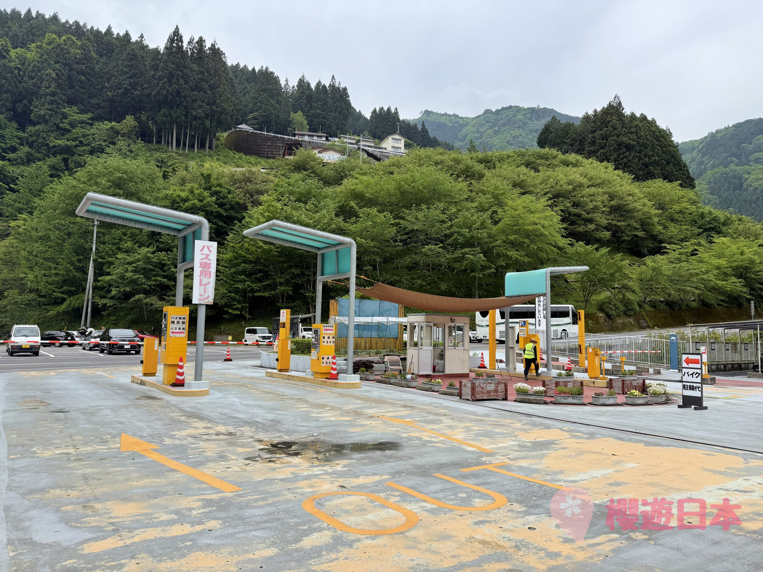 德島秘境探險|漫步在藤蔓上的勇氣試煉!—— 祖谷藤蔓橋【含交通&門票資訊&自駕建議】 - 四國自駕, 大自然景點, 德島景點, 日本, 日本自駕, 自駕遊