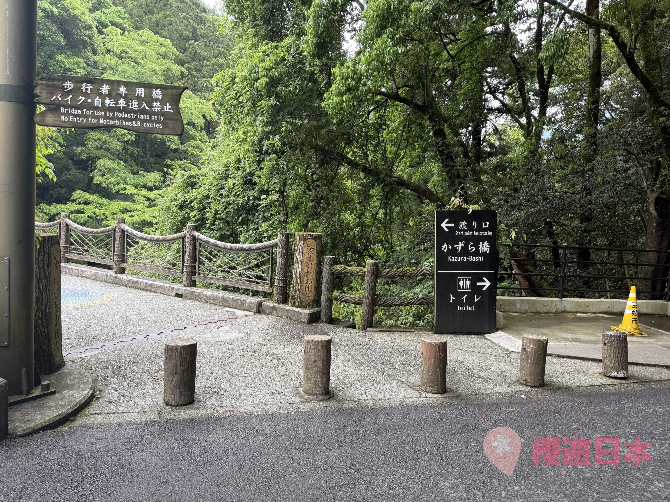 德島秘境探險|漫步在藤蔓上的勇氣試煉!—— 祖谷藤蔓橋【含交通&門票資訊&自駕建議】 - 四國自駕, 大自然景點, 德島景點, 日本, 日本自駕, 自駕遊