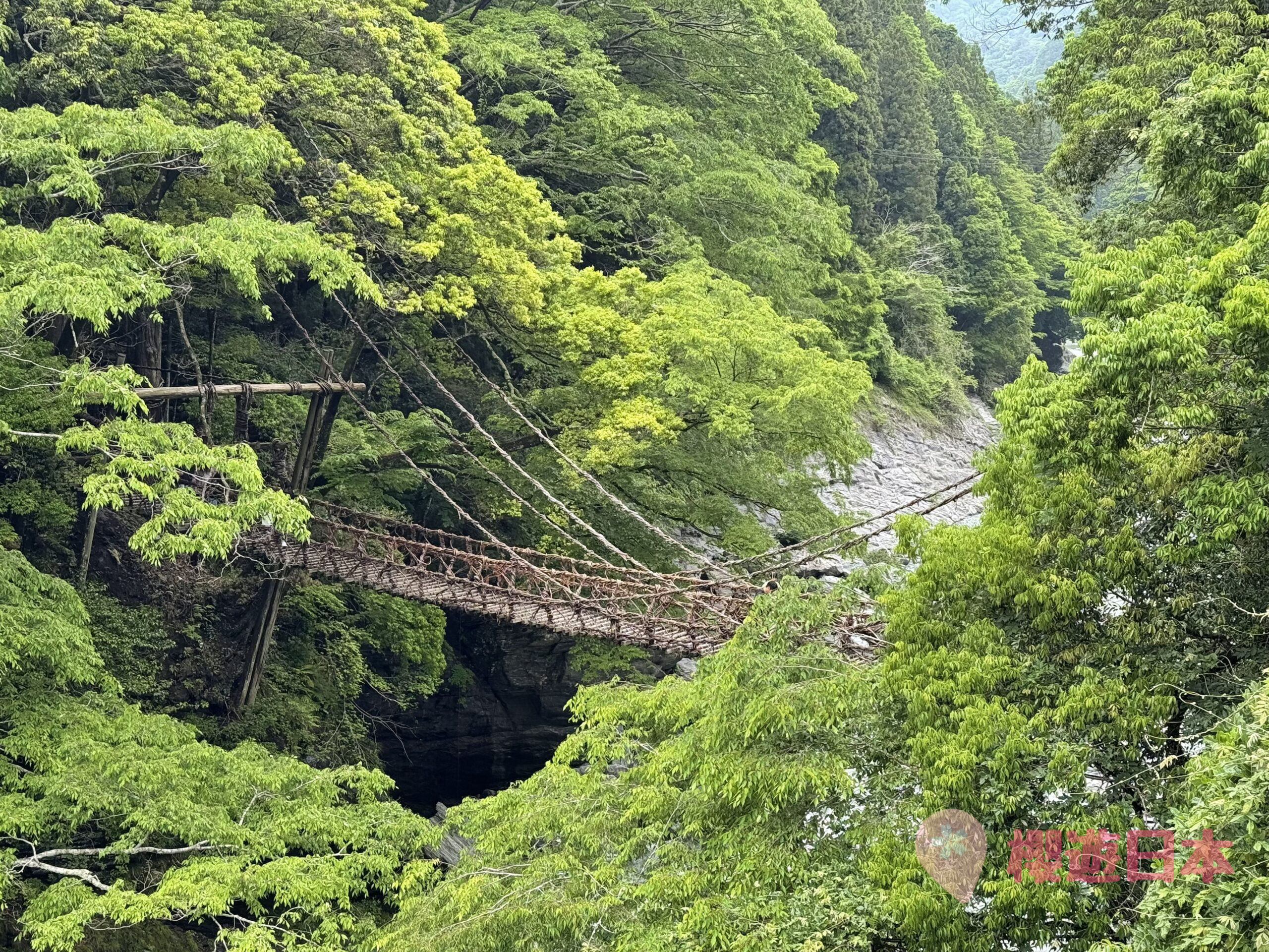 德島秘境探險|漫步在藤蔓上的勇氣試煉!—— 祖谷藤蔓橋【含交通&門票資訊&自駕建議】 - 四國自駕, 大自然景點, 德島景點, 日本, 日本自駕, 自駕遊