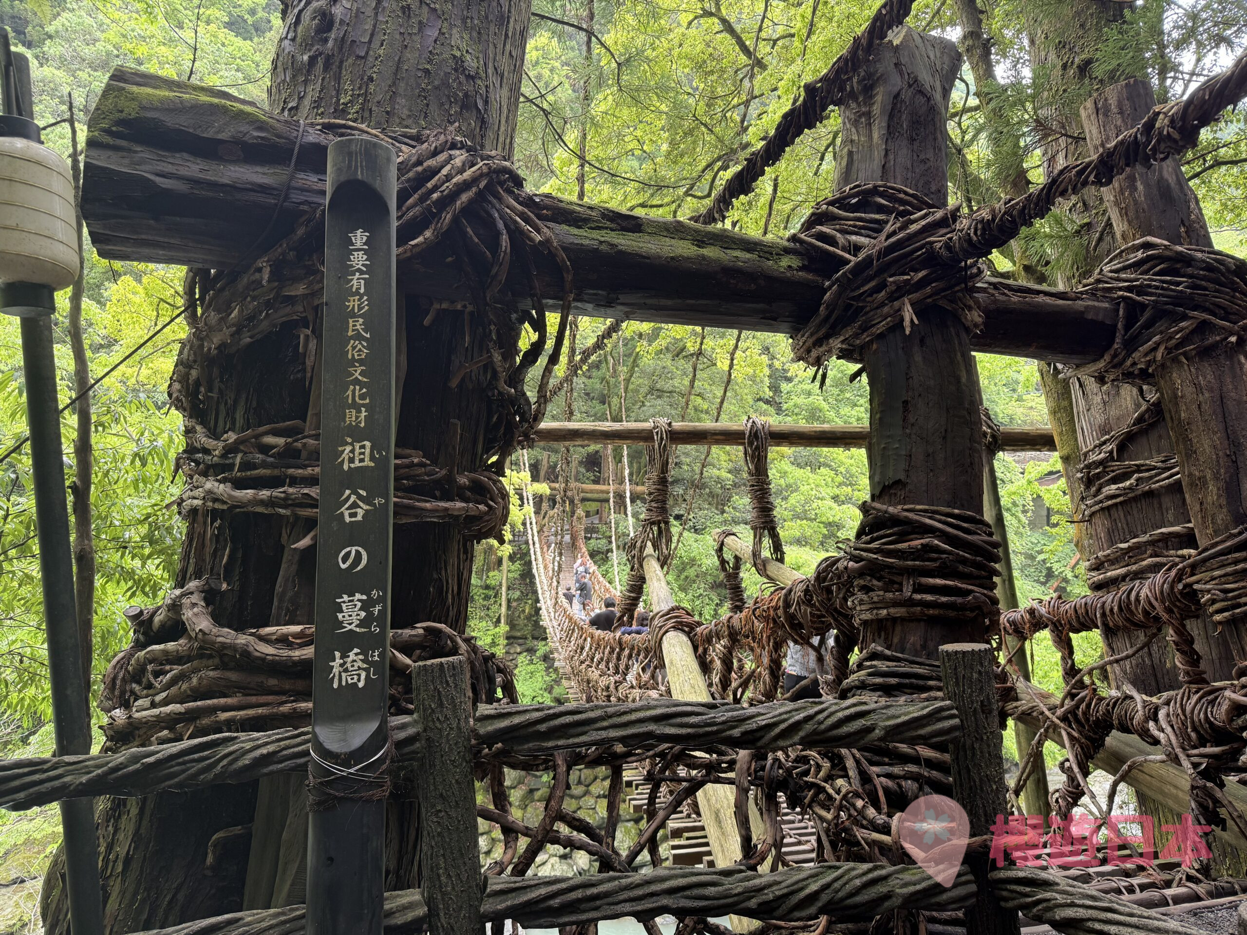 德島秘境探險|漫步在藤蔓上的勇氣試煉!—— 祖谷藤蔓橋【含交通&門票資訊&自駕建議】 - 四國自駕, 大自然景點, 德島景點, 日本, 日本自駕, 自駕遊