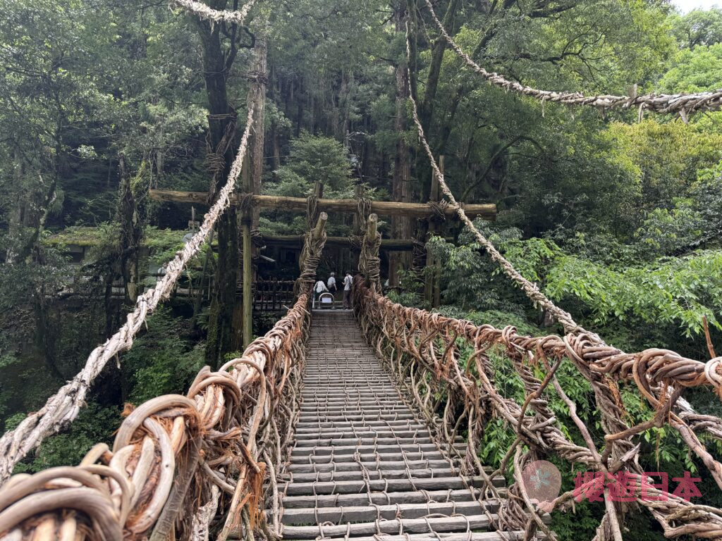 德島秘境探險｜漫步在藤蔓上的勇氣試煉！—— 祖谷藤蔓橋【含交通&門票資訊&自駕建議】 - 四國自駕, 大自然景點, 德島景點, 日本, 日本自駕, 自駕遊