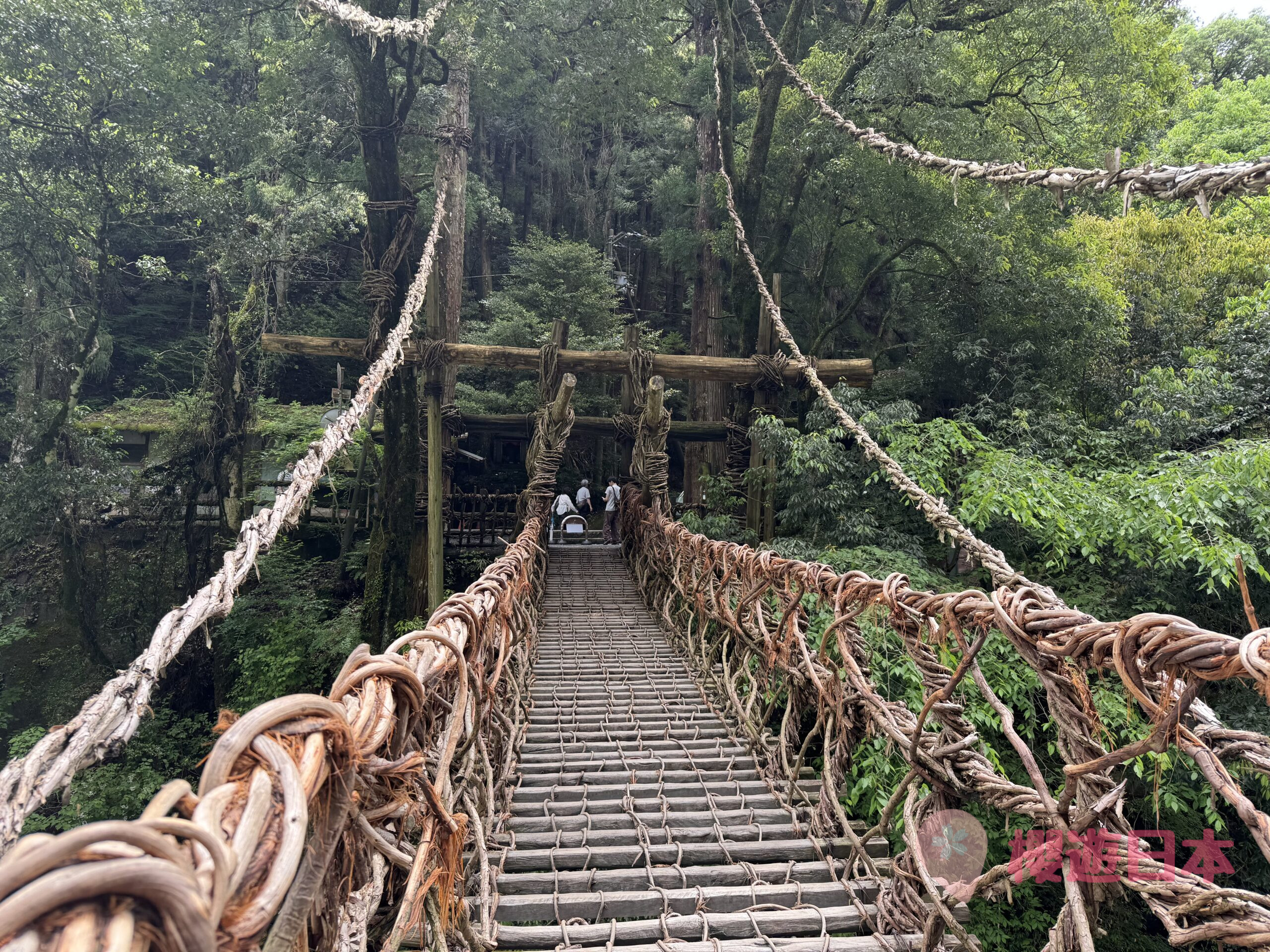 德島秘境探險|漫步在藤蔓上的勇氣試煉!—— 祖谷藤蔓橋【含交通&門票資訊&自駕建議】 - 四國自駕, 大自然景點, 德島景點, 日本, 日本自駕, 自駕遊