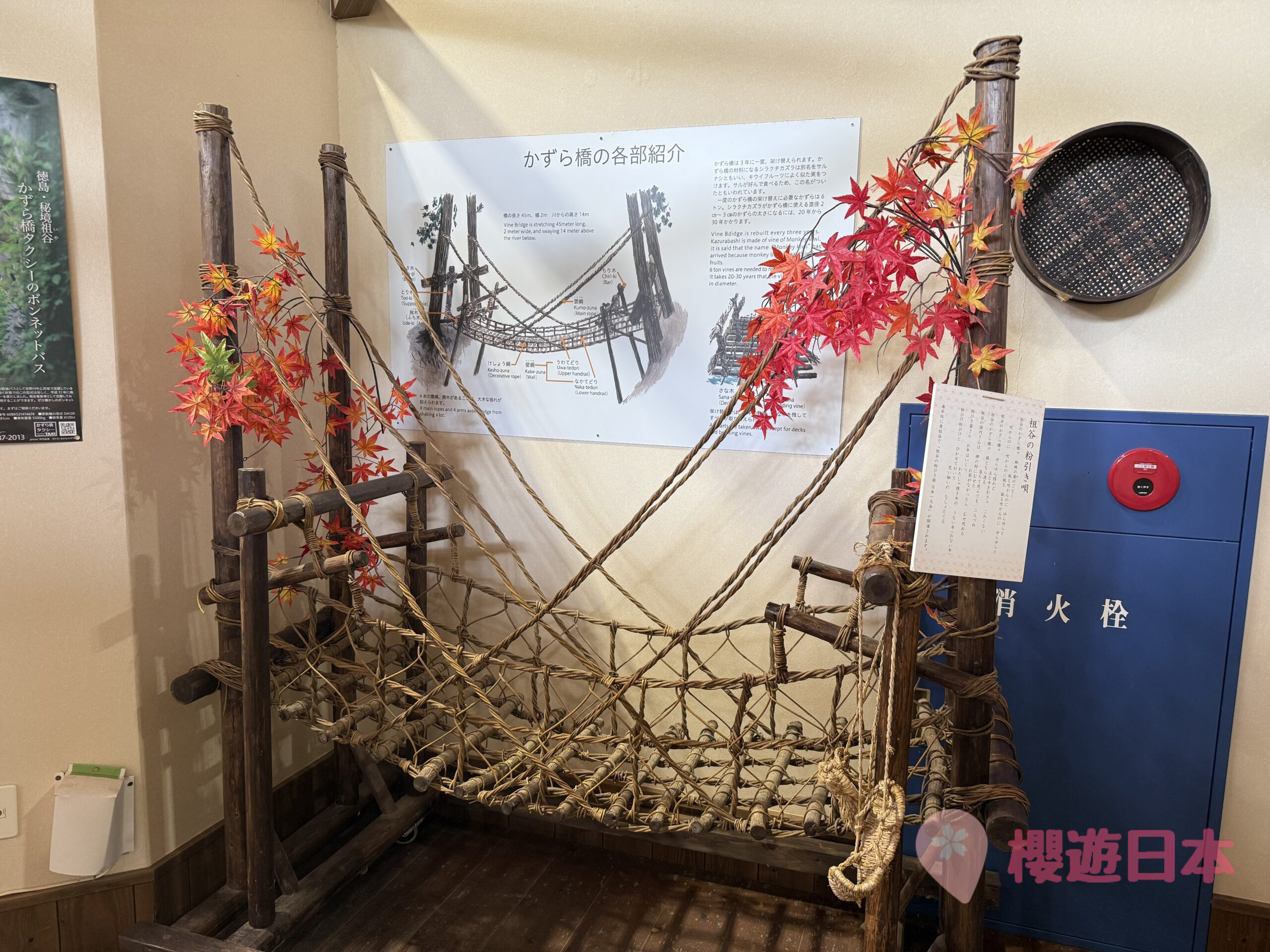 德島秘境探險|漫步在藤蔓上的勇氣試煉!—— 祖谷藤蔓橋【含交通&門票資訊&自駕建議】 - 四國自駕, 大自然景點, 德島景點, 日本, 日本自駕, 自駕遊