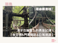 德島秘境探險｜漫步在藤蔓上的勇氣試煉！—— 祖谷藤蔓橋【含交通&門票資訊&自駕建議】 - 四國自駕, 大自然景點, 德島景點, 日本, 日本自駕, 自駕遊